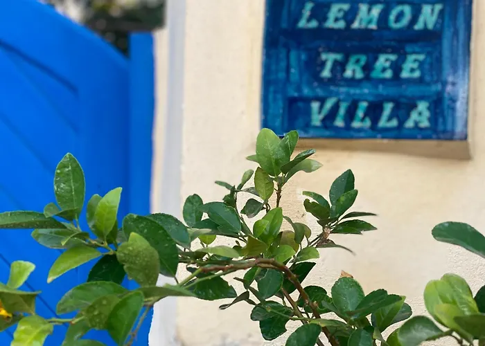 Lemon Tree Villa