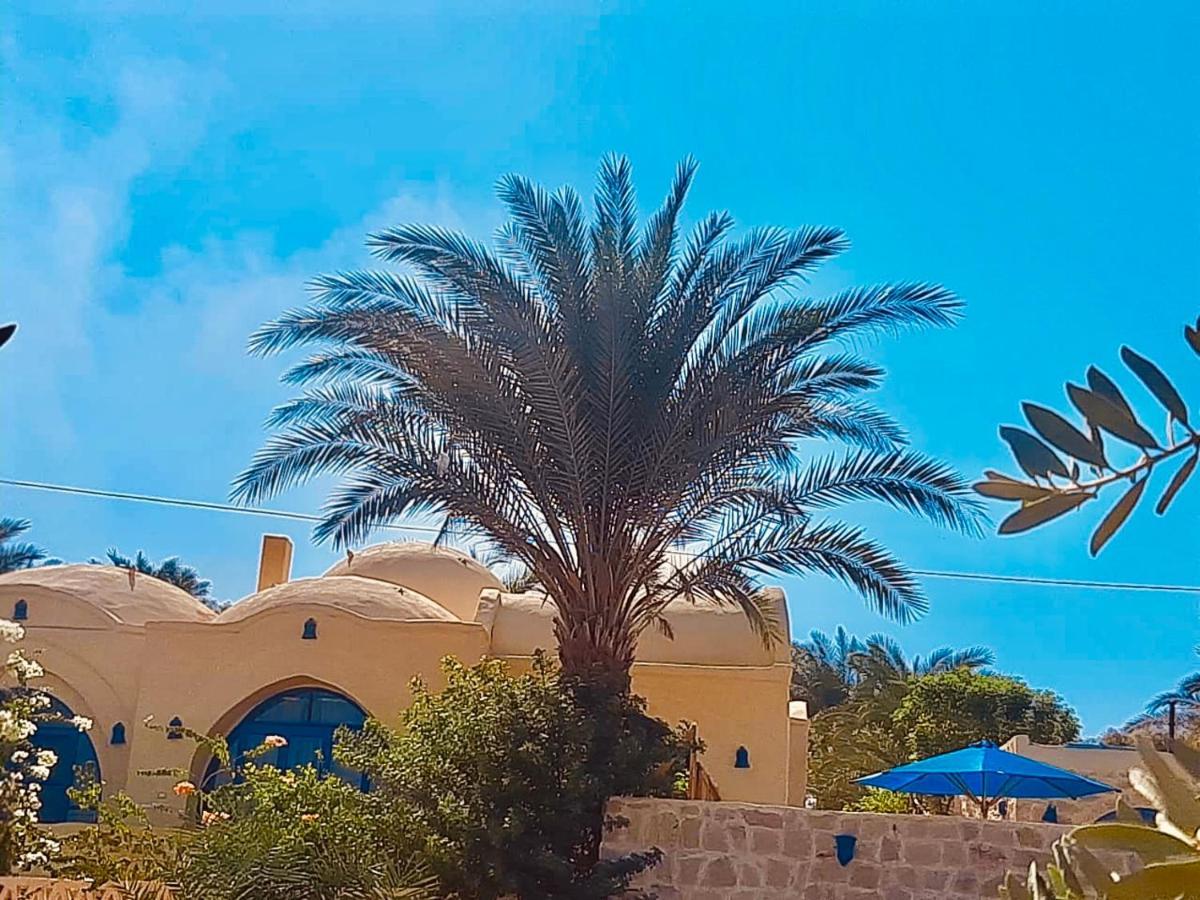 Lemon Tree Villa