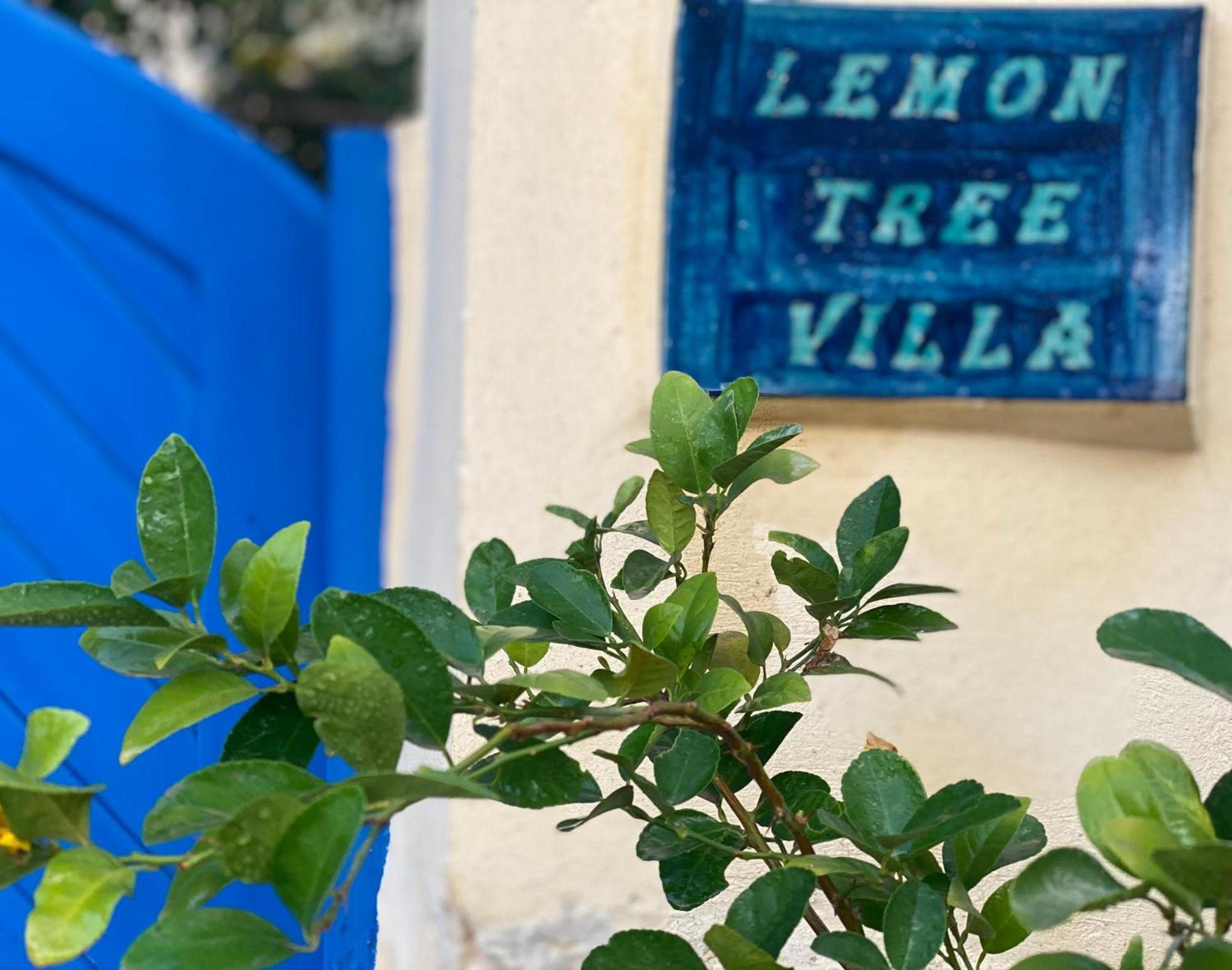 Lemon Tree * Tunis